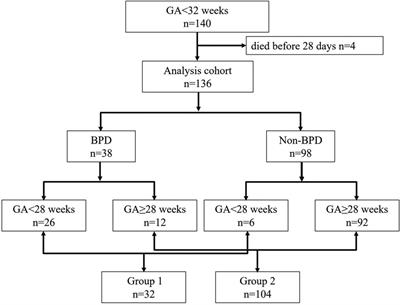 Analysis of blood metabolite characteristics at birth in preterm infants with bronchopulmonary dysplasia: an observational cohort study